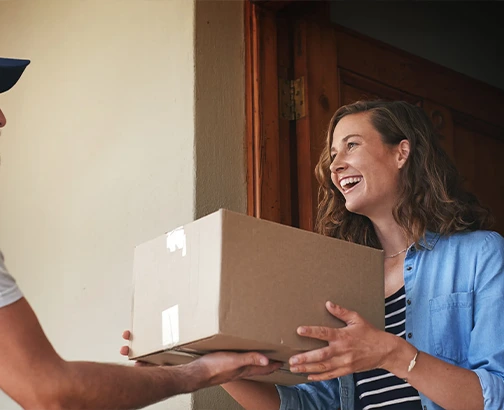 lion heart courier about