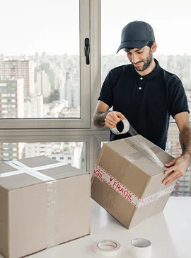 lion heart courier about